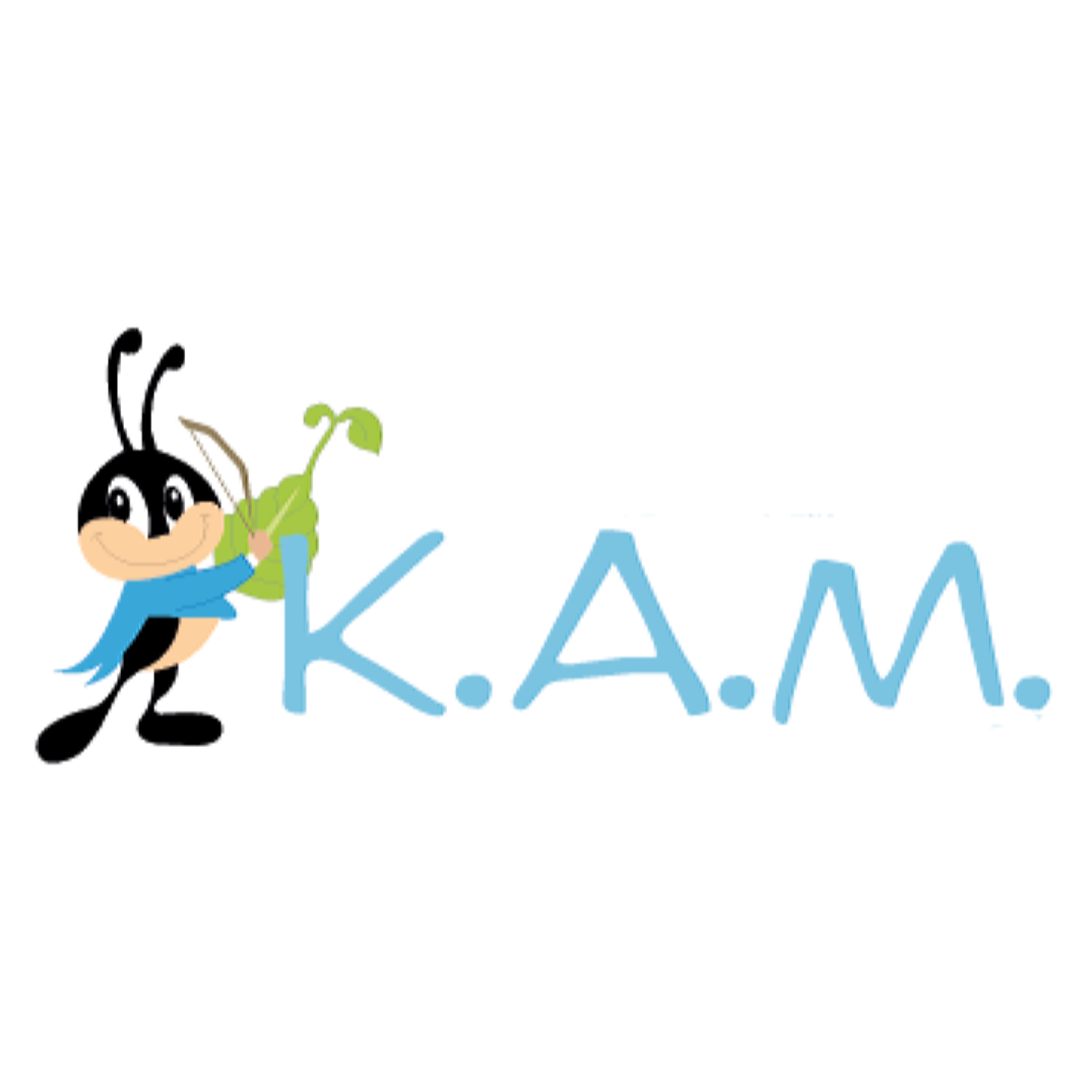 www.kam-italia.it